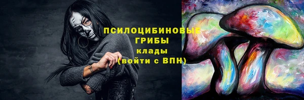 гидропоника Богданович