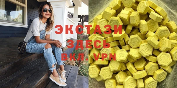 гидра Богородицк