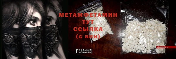 гидра Богородицк