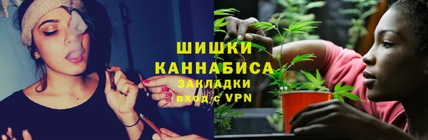 гидропоника Богданович
