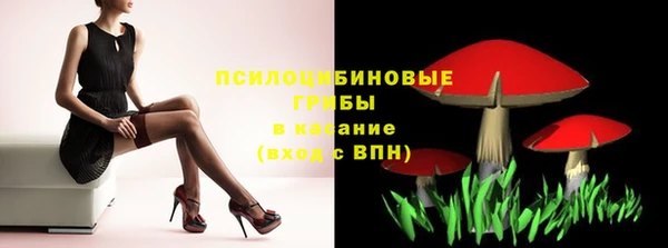 ешки Богородск