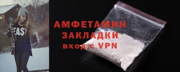гидра Богородицк