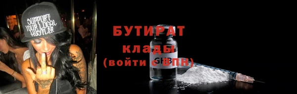 гидра Богородицк