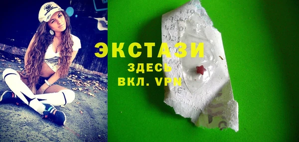 гидра Богородицк