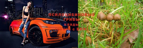 гидра Богородицк