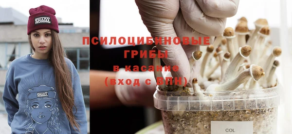 ешки Богородск