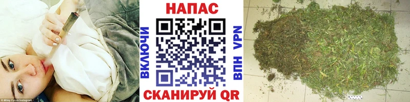 Конопля конопля  Неман 